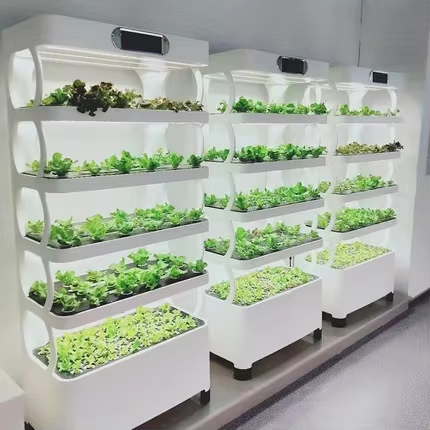 Greenhouse Mini Indoor - Mini Hydroponic Growing System Indoor Vegetable
