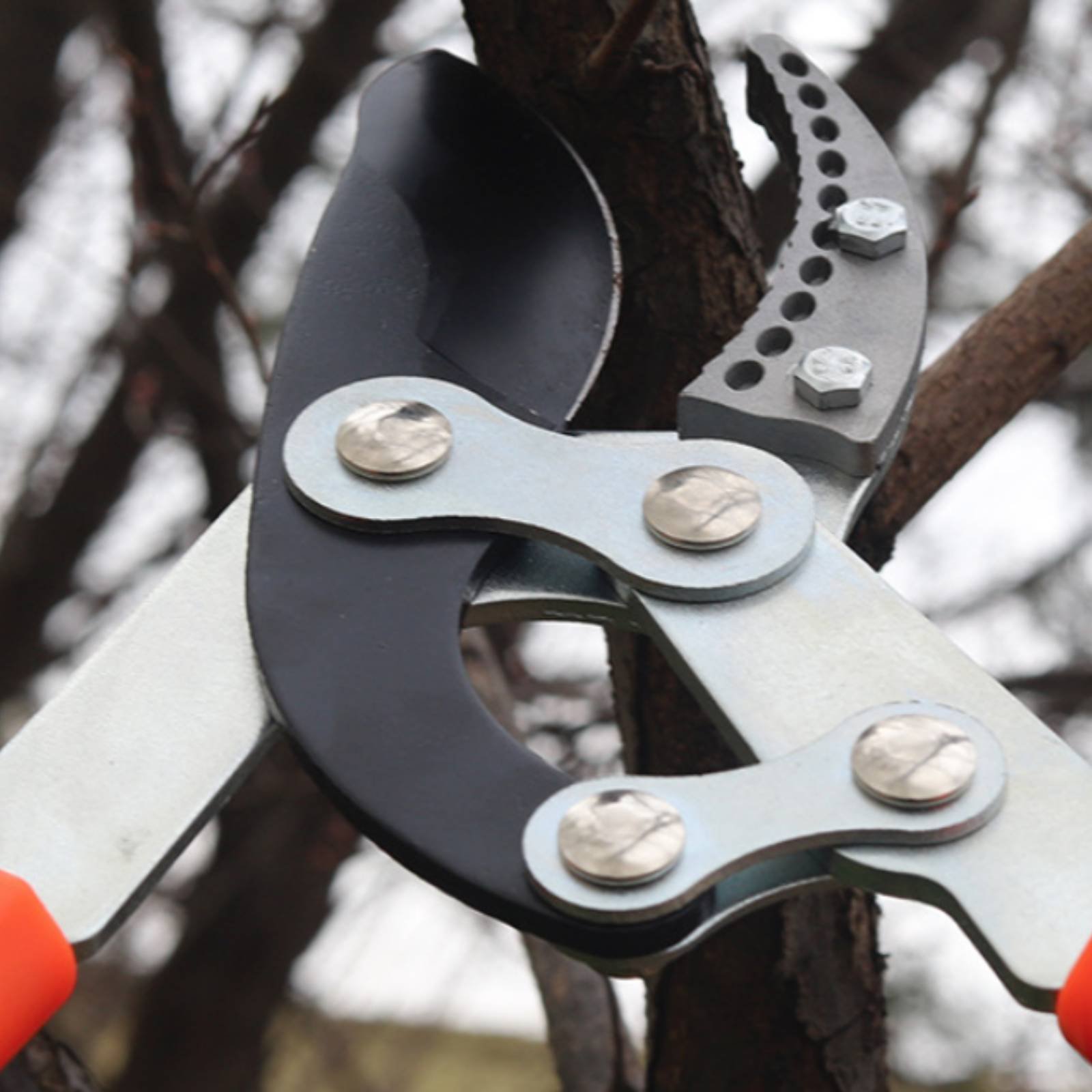 Gardening Tools - Telescopic Branch Pruners Sharp Blade Sturdy