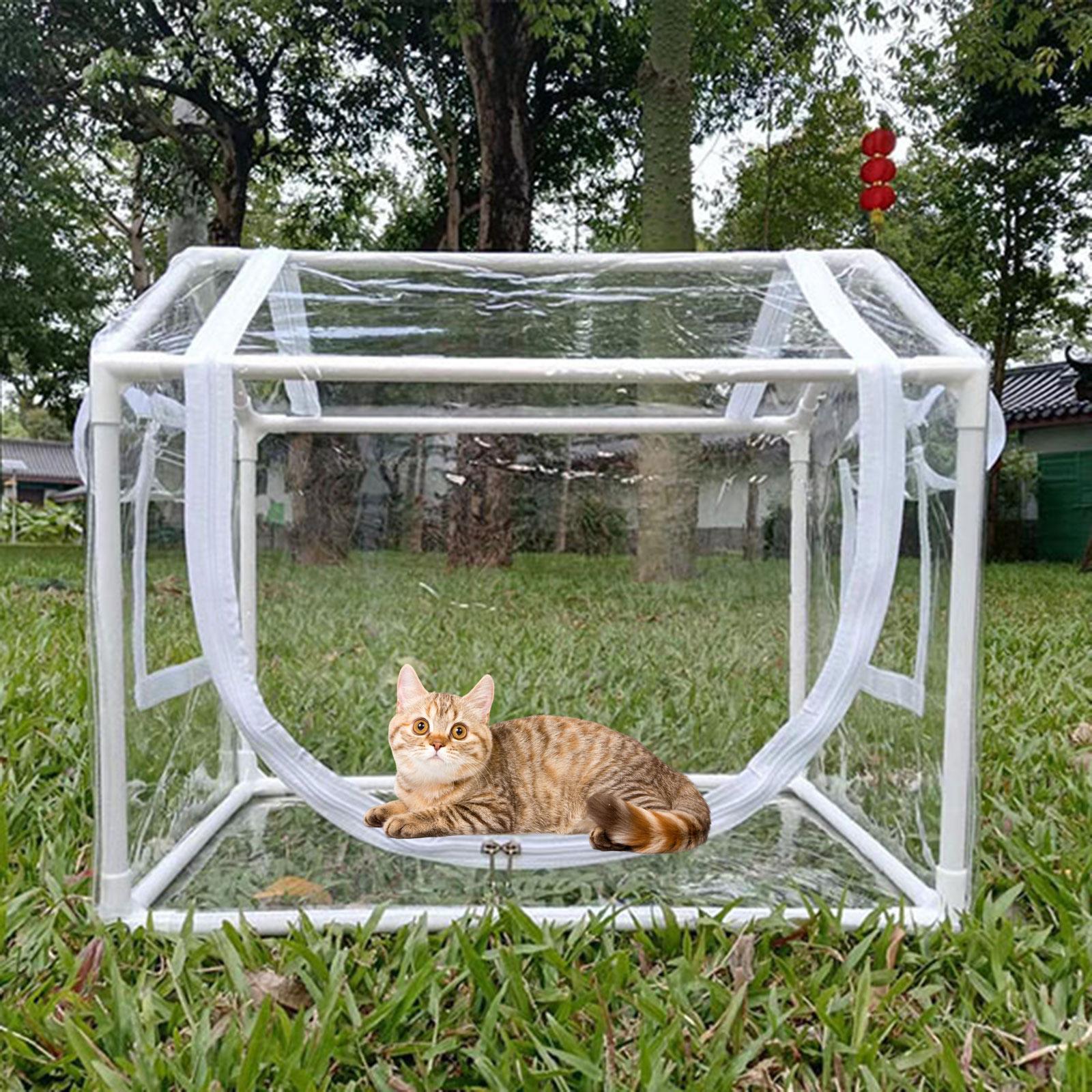 Small PVC Mini Greenhouse Cold - огляд і ціна Greenhouse Mini Indoor