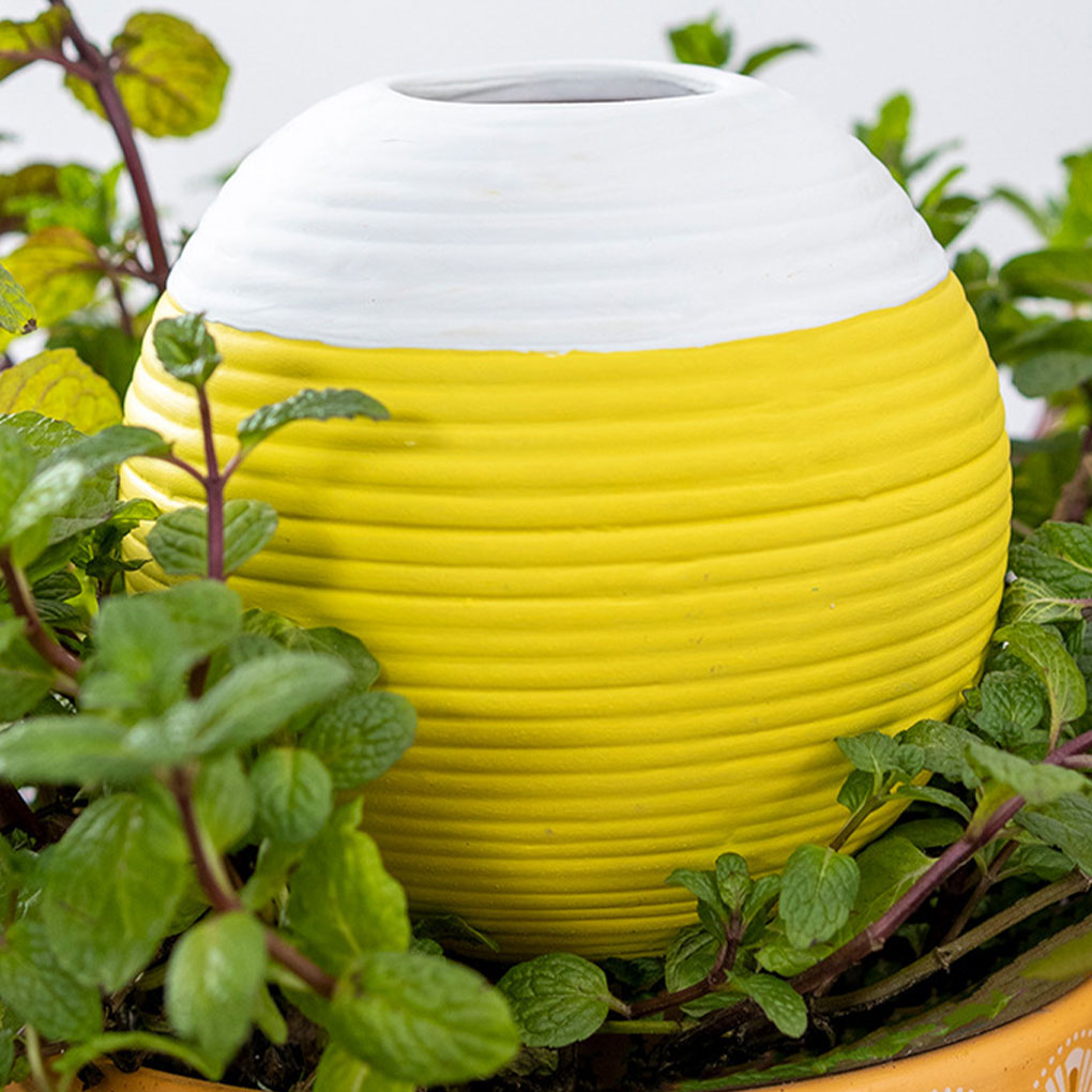 Ceramics Automatic Plant Water - огляд і ціна Gardening Tools Must Haves