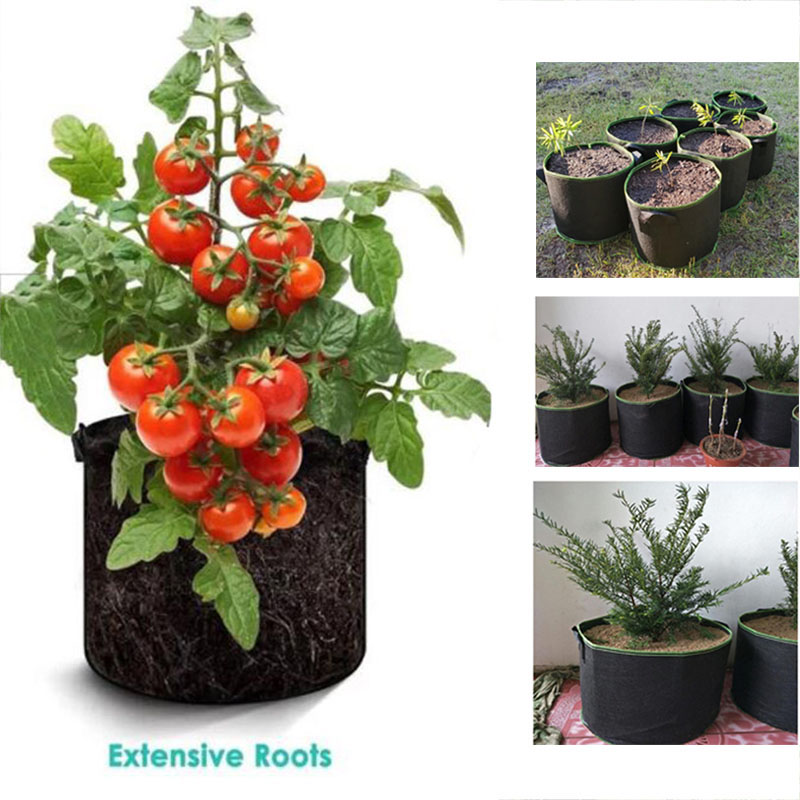 20Gal grow pots vegetable flow - огляд і ціна Gardening Tools Big
