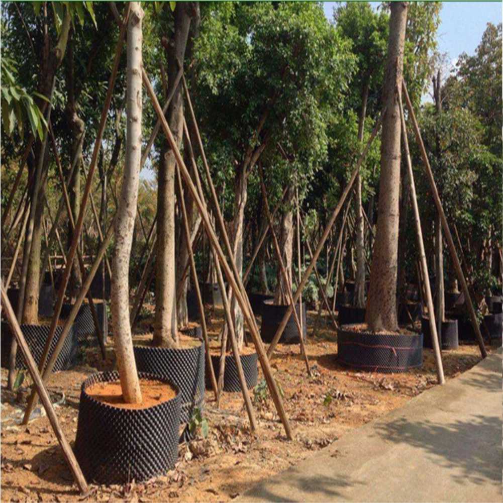 Grow Container Garden Tree Bon - огляд і ціна Gardening Tools