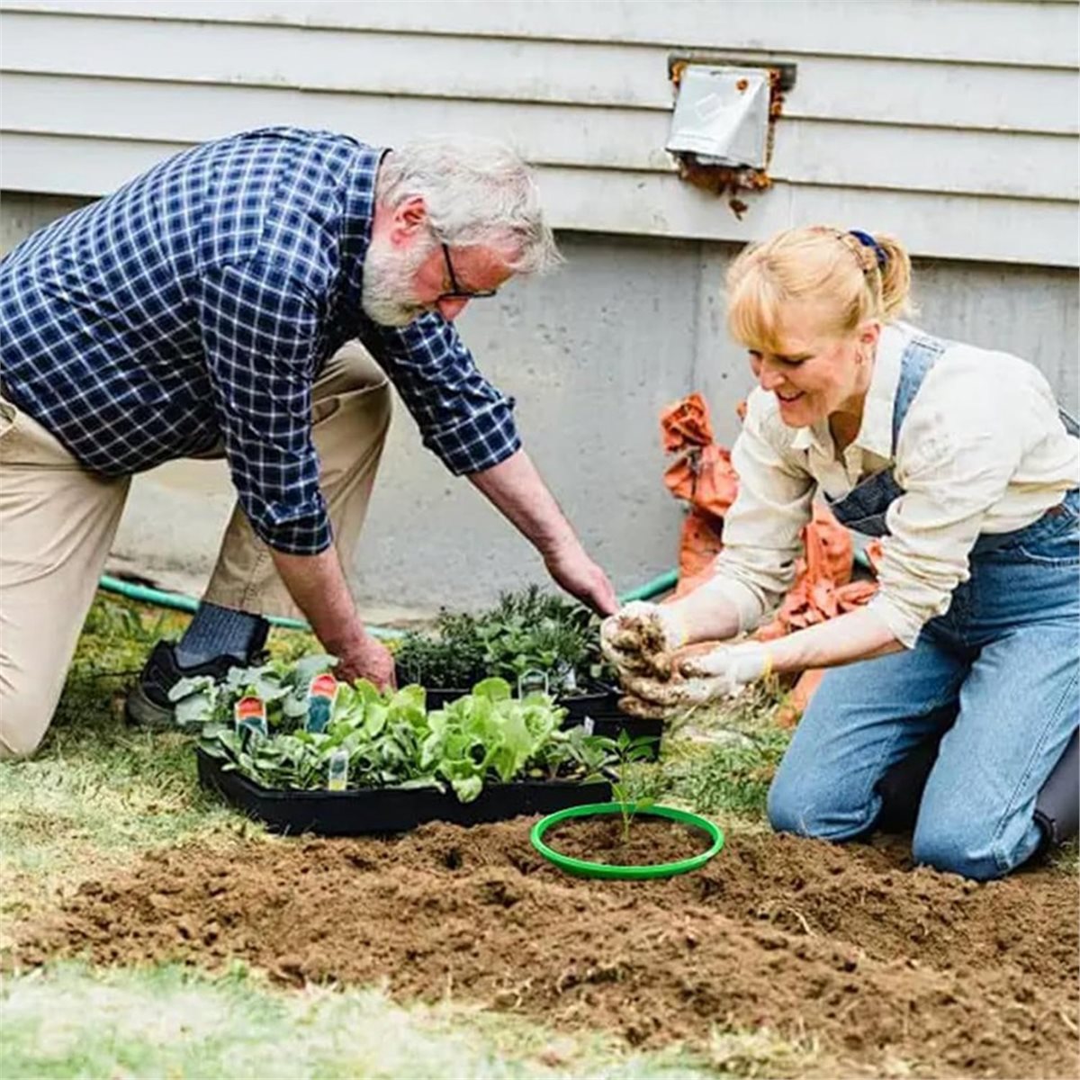 Big Discount 4 Plant Guard Rin - огляд і ціна Gardening Tools Big