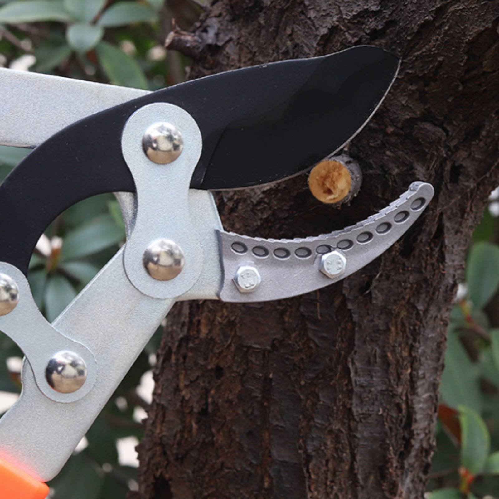 Telescopic Branch Pruners Shar - огляд і ціна Gardening Tools